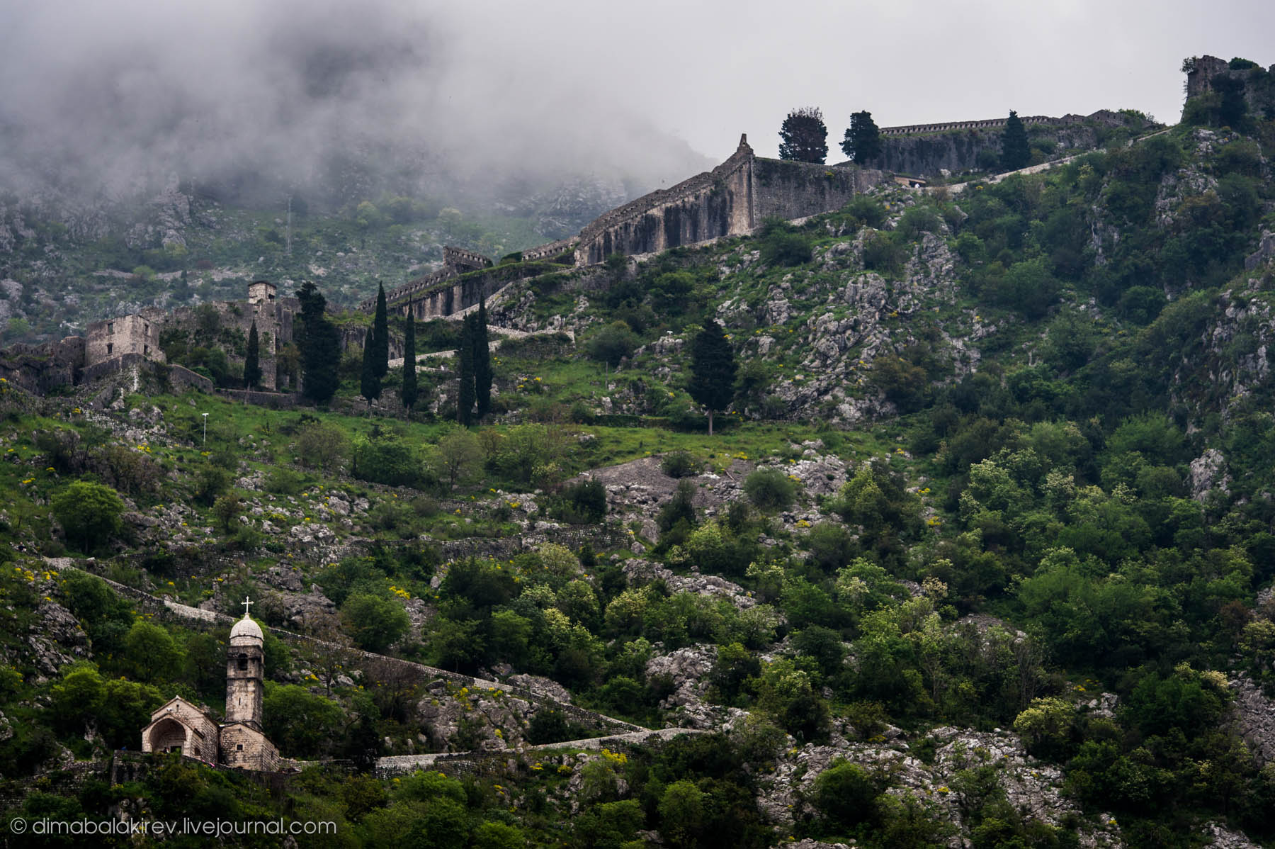 Kotor